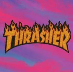 Meet your Posher, Bella